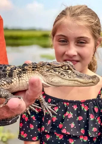 alligator tour louisiana